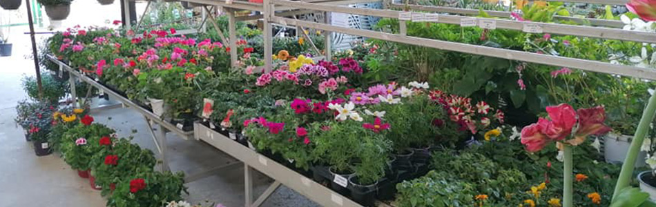 banniere_jardinerie